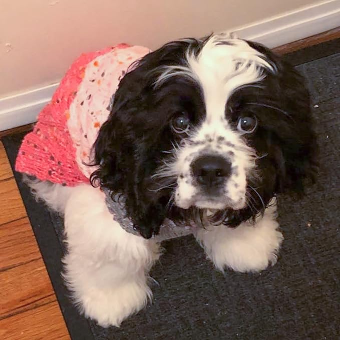 KYEESE Dog Sweater Color Block with Fuzzy Thread Knitted Turtleneck Pet Knitwear with dots in a Variety of Colors for Small Dogs Fall Winter Dogs Clothes, Pink, M