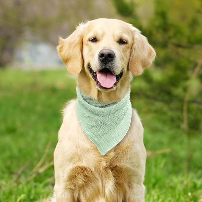 Pet's Bandanas for Large Dog Solid Color Dogs Scarf with Adustable Button,Pea Green,Large