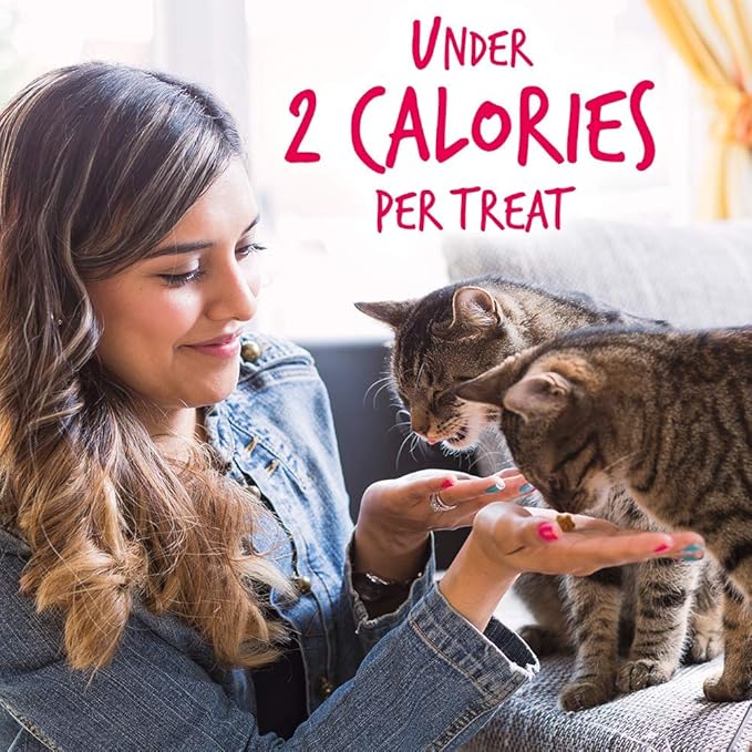 Fruitables Cat Treats Crunchy Cat Treats, Healthy Low Calorie Kitten Snacks, Made Without Wheat, Corn and Soy, Kitten Essentials, Made with Real Salmon and Cranberry, 30 Ounces