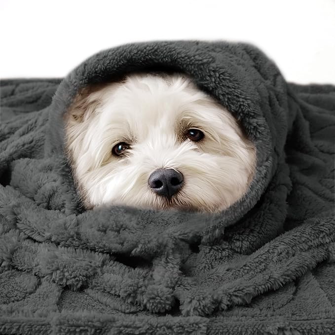 Luciphia Small Dog Blanket Washable Pet Bed Cover Soft Fluffy Puppy Blanket with Premium Fleece 300GSM Cozy Calming Cat Blankets for Indoor Cats Grey 41x31 inch