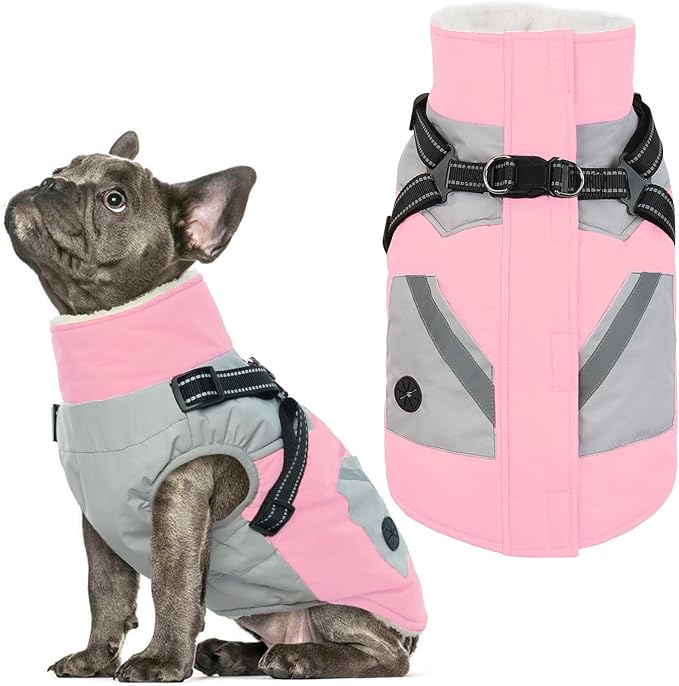 IECOii Dog Winter Coat Waterproof - Pink, Medium - Dog Coat with Harness Built in for Medium Dogs, Thermal Warm Fleece Lined with Zip Up Cold Weather Jacket, Reflective Snowsuit for Outdoor Hiking