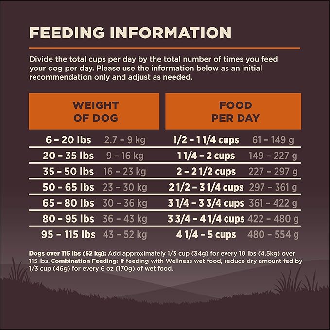 Wellness CORE Grain-Free High-Protein Dry Dog Food, Made in USA with Real Meat & Natural Ingredients, All Breeds, Adult Dogs (Turkey & Chicken, 26-lb) With Nutrients for Immune, Skin, & Coat Support