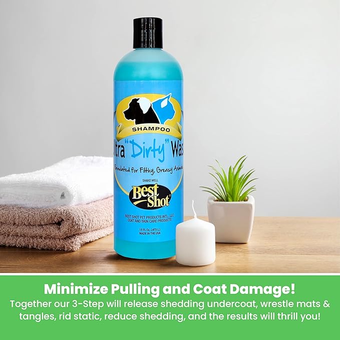 Best Shot Ultra Dirty Wash Shampoo, 16 oz