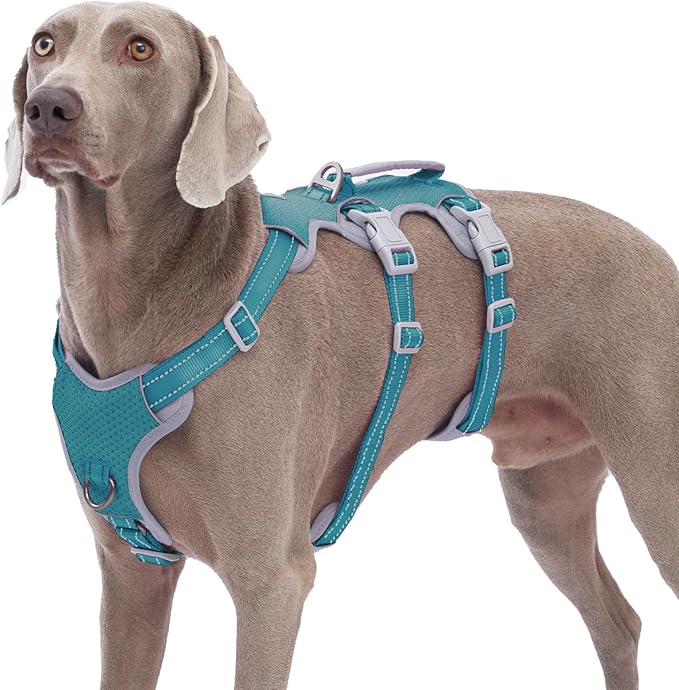 Huntboo Escape Proof Dog Harness, No Pull Reflective Harness with Lift Handle, Adjustable Pet Vest with Front and Back Leash Clips for Small Medium Large Dogs Walking Hiking Training (Teal,L)