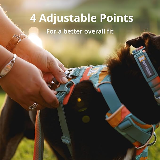 Ruffwear, Front Range Dog Harness, Reflective Soft Padded Everyday Harness with Dual Leash Clips, Adjustable and Lightweight Fit for Training or Walking for All Dogs, Coastal Mountains, XX-Small