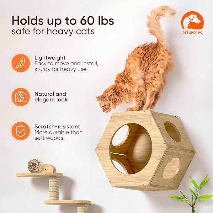 Wall-Mounted Cat Furniture for Climbing - Indoor Wooden Floating Shelves, Perches, Hammock, Bed, Bridges, and Walkways - Different Models Available