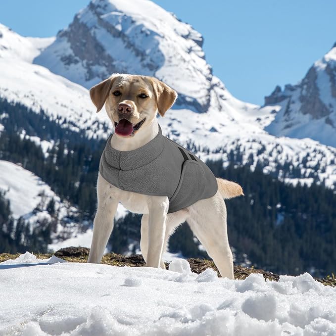 Queenmore Small Dog Sweaters, Soft Fleece Vest Pullover Dog Jacket with Leash Hole, Warm Winter Dogs Clothes Cold Weather Doggy Dachshund Sweater for Small Dogs Cats Boy or Girl (Grey, XS)