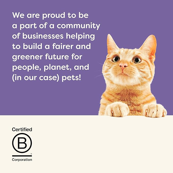 Applaws Natural Wet Canned Cat Food, Limited and Natural Ingredients, High Protein with No Artificial Additives, Variety Selection in Broth (24 x 2.47 oz Cans)