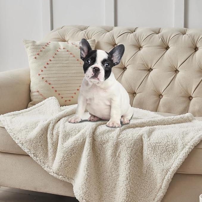 Qeils Dog Blankets for Large Dogs - Waterproof Pet Blanket Washable - Sherpa Fleece Puppy Blanket, Soft Plush Reversible Dog Blanket for Bed Couch Car Sofa, 50"X60", Grey Paw Print