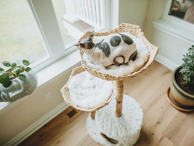 Modern Cat Tree Tower, Real Branch luxury Cat Condo, Wood Cat Tower, Cat Scratching Tree, Cat Condo, Cat Lover Gift, Luxury Cat, Cat Gifts by Mau Lifestyle
