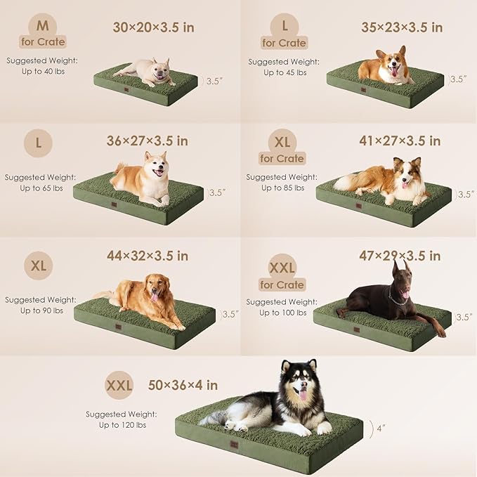 EHEYCIGA Orthopedic Foam Dog Bed, Medium, 30"L x 20"W x 3.5"Th, Dark Green