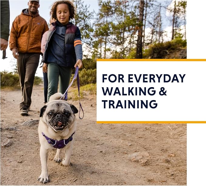 Ruffwear, Front Range Dog Harness, Reflective Soft Padded Everyday Harness with Dual Leash Clips, Adjustable and Lightweight Fit for Training or Walking for All Dogs, Red Clay, Large/X-Large