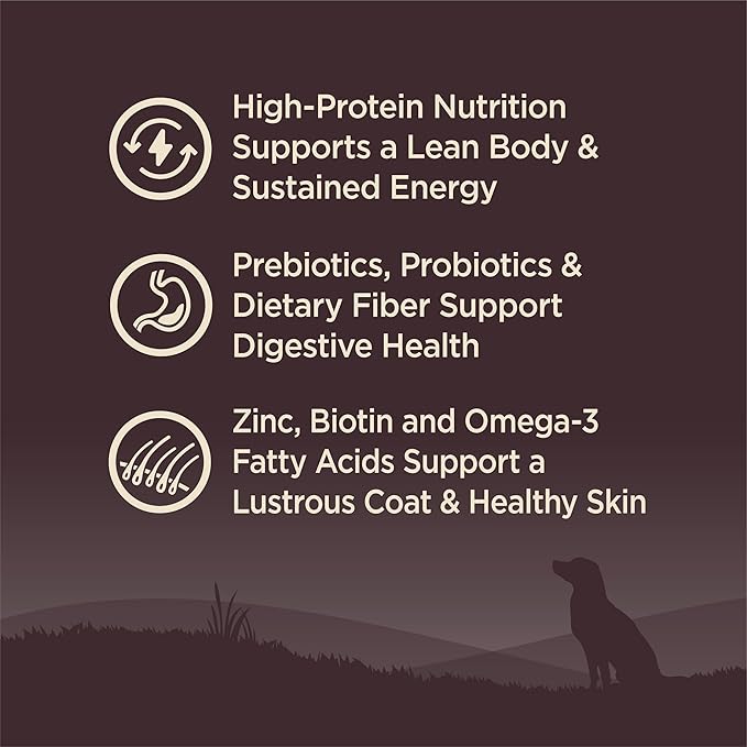 Wellness CORE Grain-Free High-Protein Dry Dog Food, Made in USA with Real Meat & Natural Ingredients, All Breeds, Adult Dogs (Turkey & Chicken, 26-lb) With Nutrients for Immune, Skin, & Coat Support