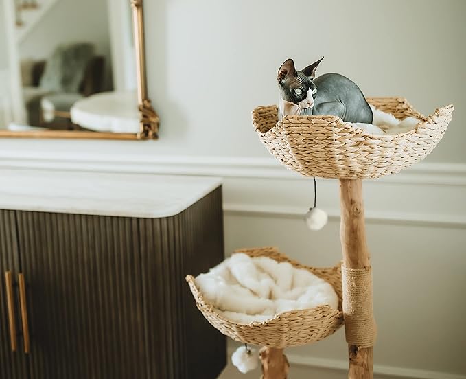 Modern Cat Tree Tower, Real Branch luxury Cat Condo, Wood Cat Tower, Cat Scratching Tree, Cat Condo, Cat Lover Gift, Luxury Cat, Cat Gifts by Mau Lifestyle