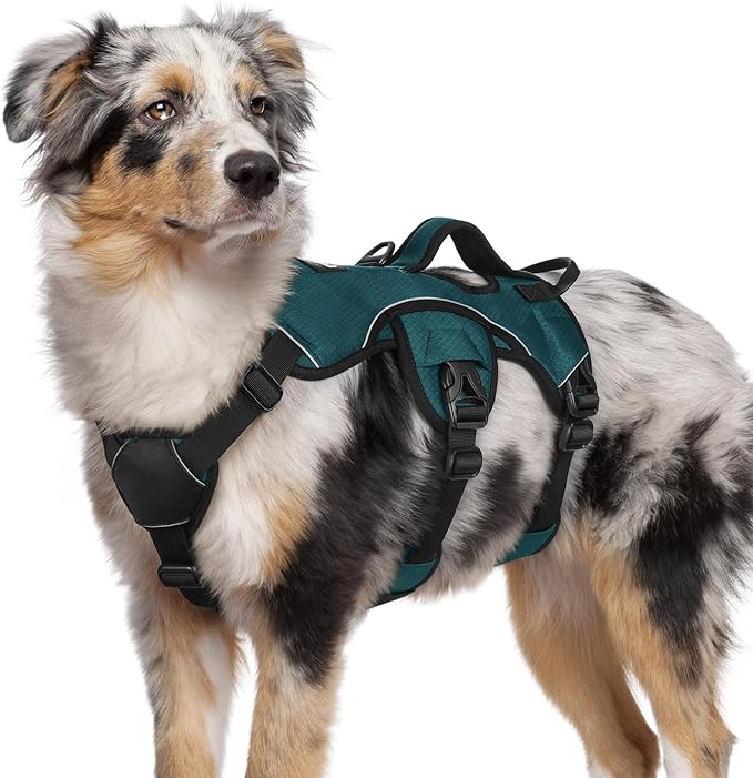 rabbitgoo Escape Proof Dog Harness Medium, Soft Padded Full Body Pet Harness, Reflective Adjustable No Pull Vest with Lift Handle and Leash Clip for Walking Hiking Training, Dark Green, M