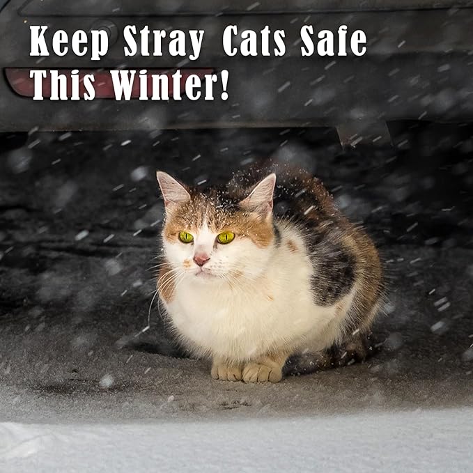 Kiroto Outdoor Pet Heating Pad for Cat Dog, Heated Mat with Waterproof Cover and Automatic Temperature Control, Suitable for Cat Houses, Dog Houses, Small Beds, Porches,20"x16",Blue