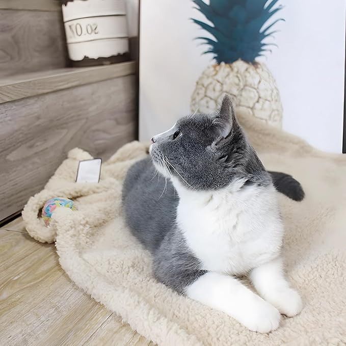 furrybaby 2-in-1 Puppy Blankets for Small Dogs - Premium Super Soft Sherpa & Fleece Dog & Cat Bed Blankets - Washable & Portable - Beige (24"x32")