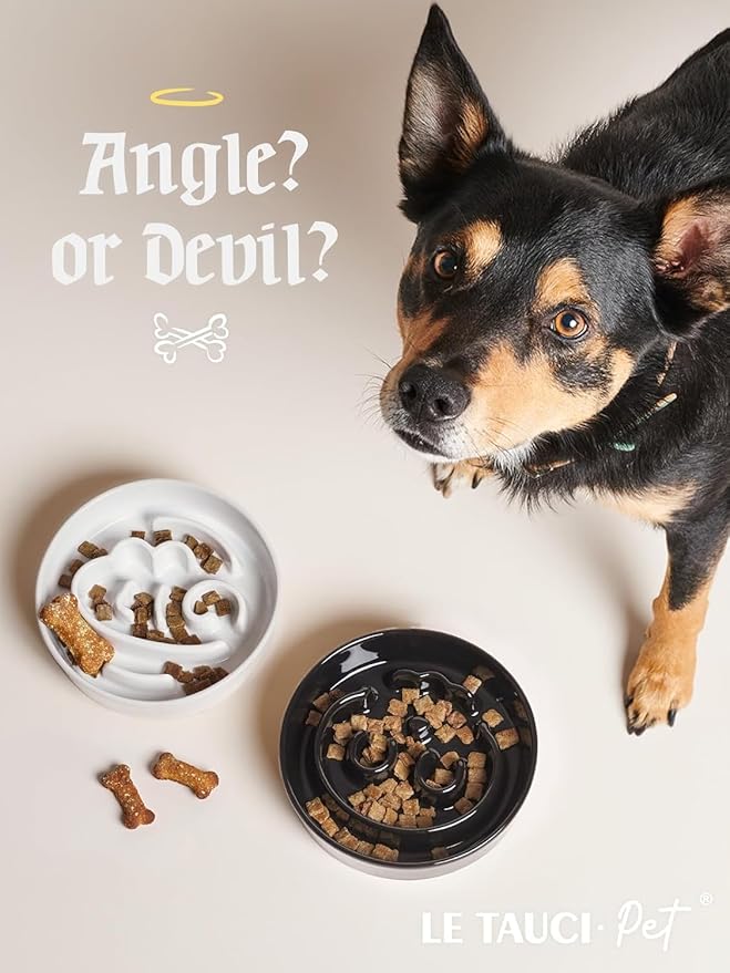 LE TAUCI Ceramic Slow Feeder Dog Bowls Elevated, 0.6 Cups Raised Dog Bowl with Wooden Stand for Small Breed, Pet Dishes to Slow Down Eating, Skull Black