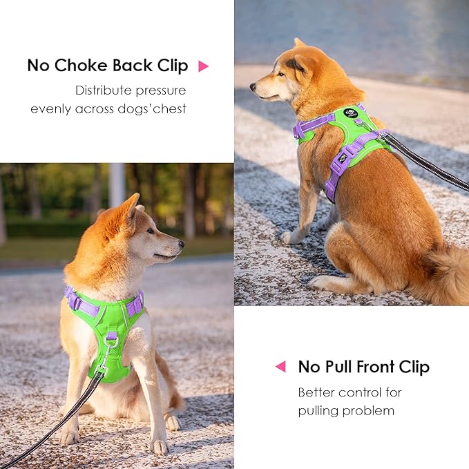 PHOEPET No Pull Dog Harness, Unique Colors Reflective Adjustable Dog Vest, with Soft Training Handle Metal Clips for Small Medium Large Dogs (Green Base & Purple Straps,L)