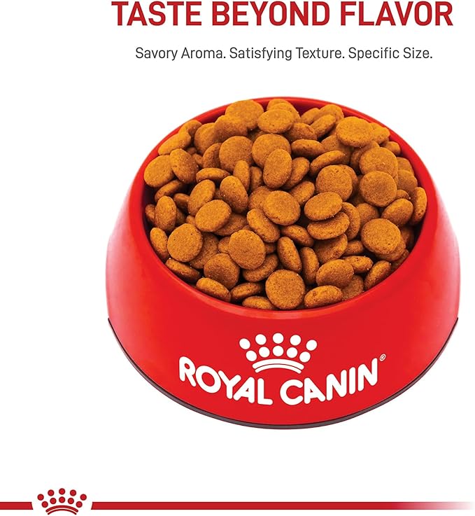 Royal Canin Medium Digestive Care Dry Dog Food, 17 lb bag