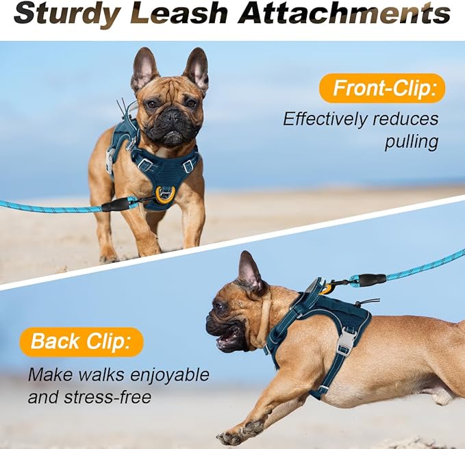 BARKBAY Service Dog Vest Tactical Dog Harness Medium Large Sized Dog Tags Personalized No Pull Adjustable Harness Reflective Working Training Easy Control Military Molle System(Legion Blue,M)