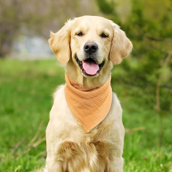 Large Dog Solid Color Scarf - Adjustable Cotton Bandana with Button Fastening,Mid Yellow,Large