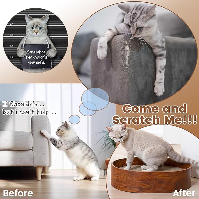 4 Packs Oval Cat Scratcher Cardboard with Box, Cat Scratch Pad for Indoor Cats Lounge Bed - Reversible, Durable Modern Kitty Scratcher Bowl, Furniture Protector for Carpets, Couch and Sofas
