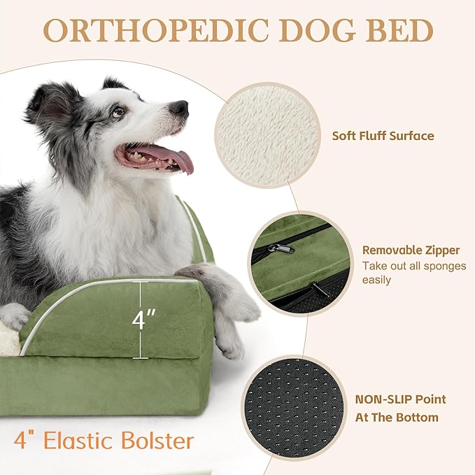 Comfort Expression Orthopedic Dog Bed for Large Dogs 38x25 Inch, Waterproof Supportive Egg Crate Foam Large Pet Bed with Removable Bolster, Dog Couch with Washable Cover & Non-Slip Bottom, Light Green