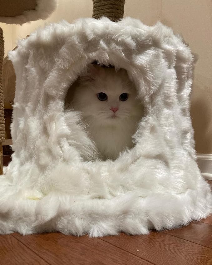 COZIWOW Cloud Cat Tree Tower, Solid Natural Wood Branches, Modern, Aesthetic, Unique, Cat-Approved, 34" L x 17.7" W x 41.7" H, White