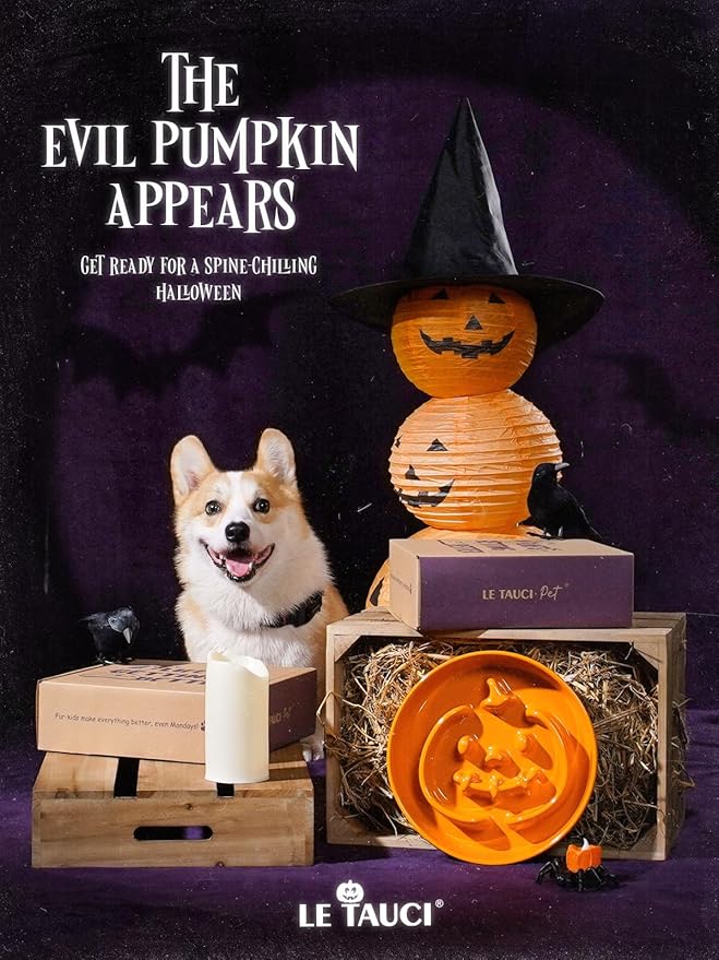 LE TAUCI Ceramic Puzzle Feeder Elevated 3 Cup with Wood Stand for Small Medium Dog & Puppy, Fast Eater Raised Dish Pumpkin Orange