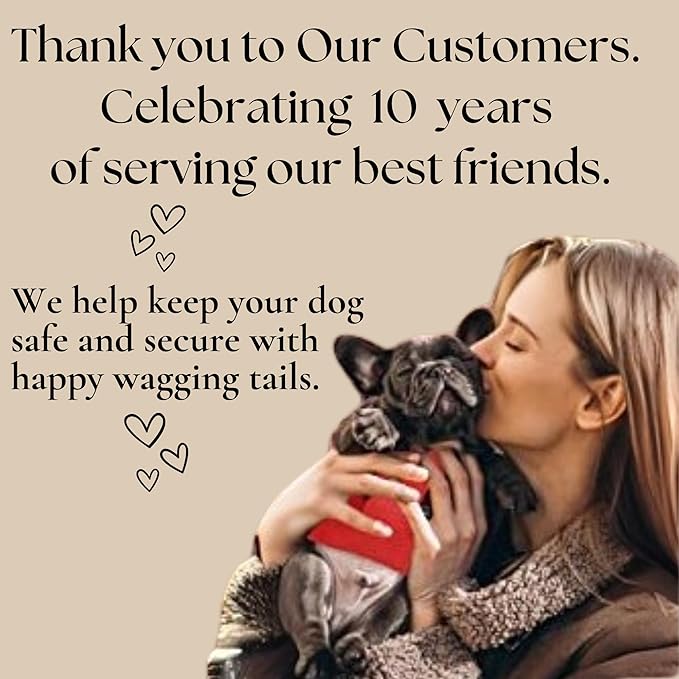 EcoBark Step in Dog Harness - Eco-Friendly Teacup Dog Harnesses for XXS, XS, and Small Dogs - Reflective and Adjustable Mini Body Halter Vest -Tiny Soft Mesh Toy Breed Harness (XXXS, Black)