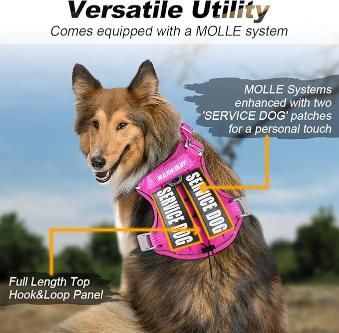 BARKBAY Service Dog Vest Tactical Dog Harness Medium Large Sized Dog Tags Personalized No Pull Adjustable Harness Reflective K9 Working Training Easy Control Military Molle System(Pink,L)