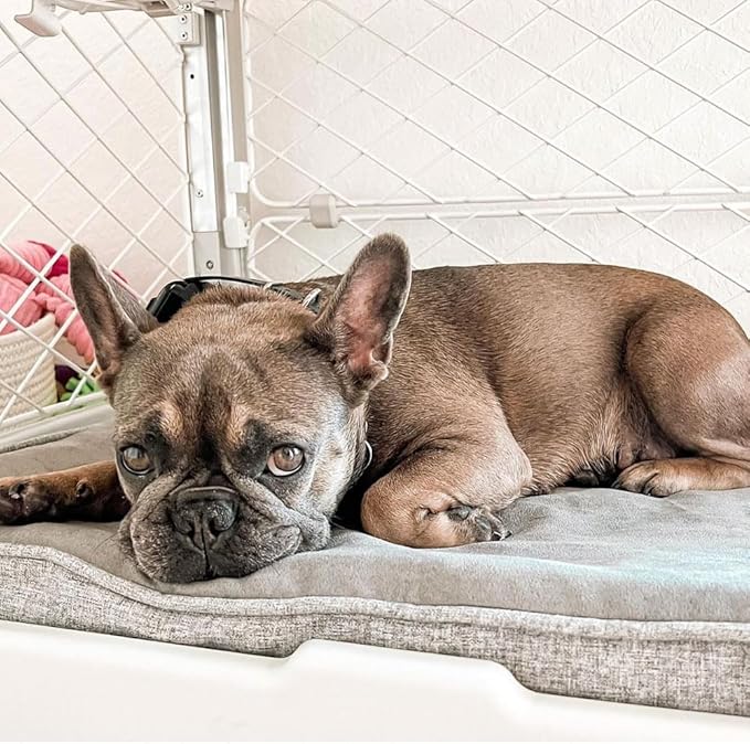 DIGGS Snooz Memory Foam Dog Bed - Ideally Sized Revol Dog Crate Pad - Premium Orthopedic Pet Bed for Crate or Home - Grey, Small