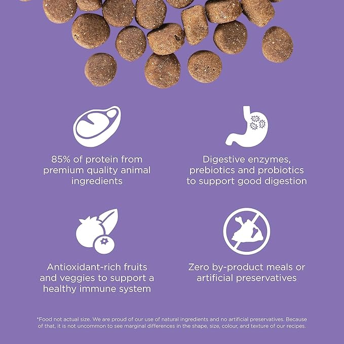 Go! Solutions Carnivore, Grain-Free, Protein Rich Dry Dog Food, Chicken, Turkey and Duck Senior Recipe, 3.5 lb Bag