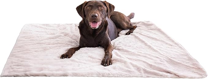 Best Friends by Sheri Calming Lux Dog Blanket – Ultra Soft Faux Fur Pet Throw, Anxiety-Relief, Lightweight Warm Bed Cover for Dogs and Cats, Machine Washable, Oyster Cream, 40" x 50"