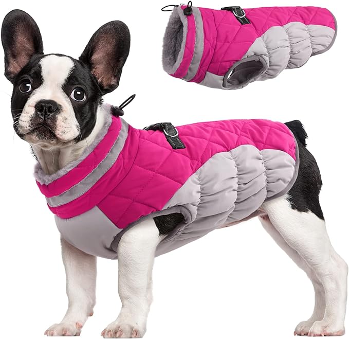 FUAMEY Dog Coat for Small Dogs,Waterproof Dog Winter Jacket with Harness Built in Puppy Cold Weather Coats Reflective Pet Vest with Zipper Warm Fleece Dogs Snowsuit Windproof Pink S