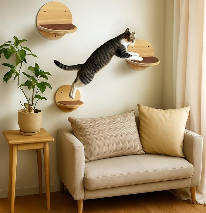 Cat Wall Shelves Set - Modern Round Floating Wall Steps with Scratch Pads (Set of 4)-Decorative Wall-Mounted Furniture for Climbing, Playing & Resting by INSTINTO