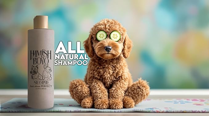 Natural Itch Relief Dog Shampoo – Hypoallergenic & Anti-Itch, Soothes Dry, Sensitive Skin, Oatmeal & Aloe, Lavender Scent, Tear-Free, Safe for Puppies & All Breeds, Made in USA by Hamish&Boyo