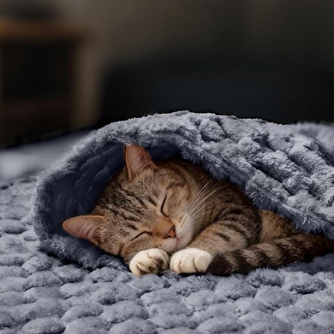 Luciphia Fleece Dog Blanket for Small Medium Large Dogs 3D Jacquard Flannel Puppy Cat Pet Throw Blankets Soft Washable Decorative Furniture Protect Grey, L(41''x31'')