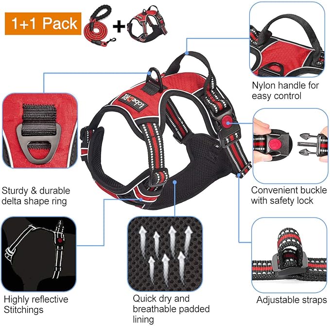No Pull Dog Harness Adjustable Reflective Oxford Easy Control Medium Large Dog Harness with A Free Heavy Duty 5ft Dog Leash (S (Neck: 14"-17", Chest: 18.5"-20"), Red Harness+Leash)
