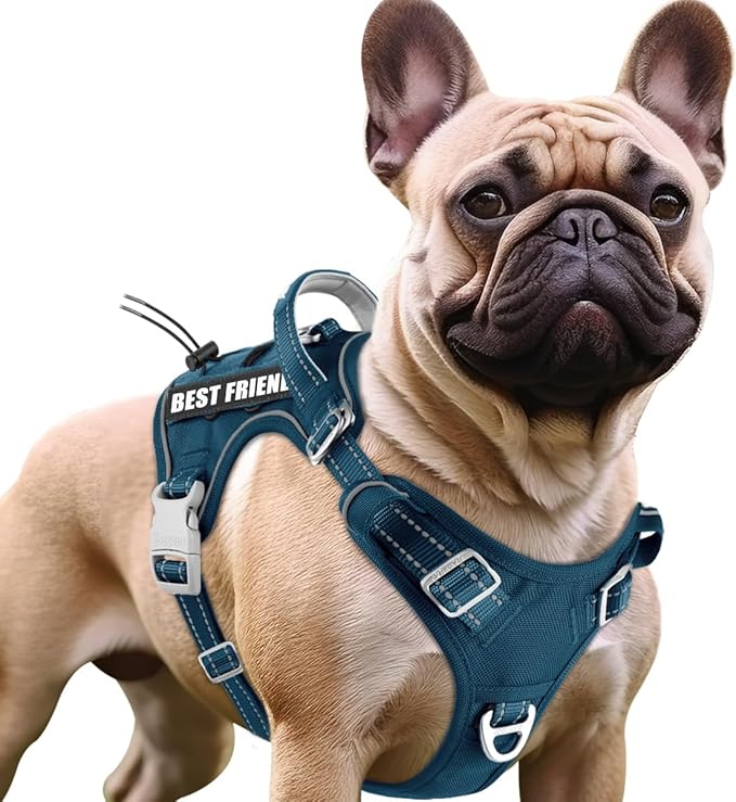 BARKBAY Service Dog Vest Tactical Dog Harness Medium Large Sized Dog Tags Personalized No Pull Adjustable Harness Reflective Working Training Easy Control Military Molle System(Legion Blue,M)