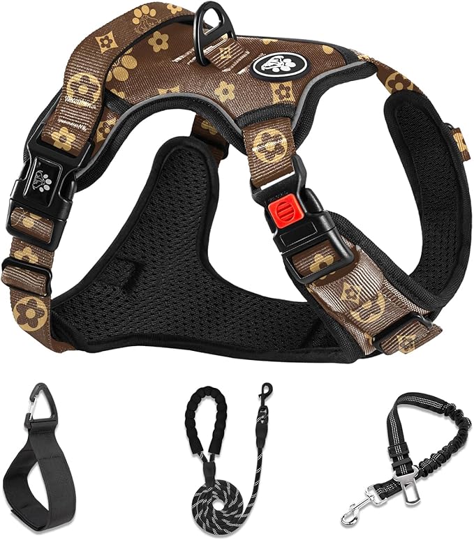NESTROAD No Pull Dog Harness,Adjustable Oxford Dog Vest Harness with Leash,Reflective No-Choke Pet Harness with Easy Control Soft Handle for Small Dogs(Small,Dark Brown)