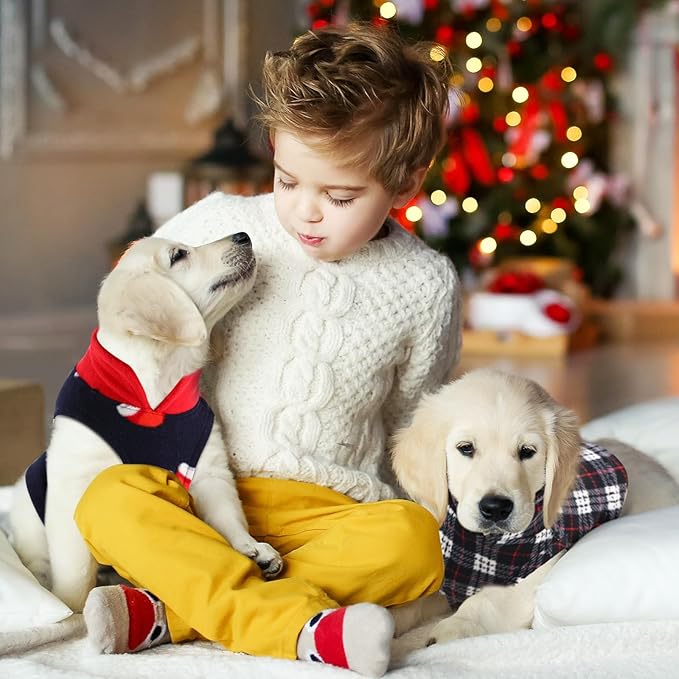 Reginary 10 Pack Medium Dog Sweaters Fleece Pet Dog Clothes with Leash Ring Soft Warm Winter Puppy Plaid Shirt(Bright)