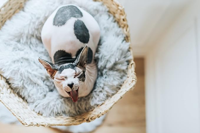 Wooden Cat Tree Tower, Modern Single Branch Cat Condo, Wood Cat Tree, Cat Climbing, Furniture for Cat, Cat Lover Gift, Cat Furniture,Cat Gift by MAU LIFESTYLE (Bullet Gray)