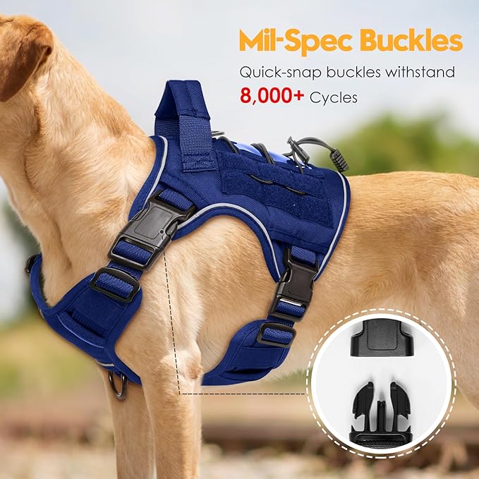 Heavy-Duty Tactical Dog Harness for Large Dogs, No Pull Adjustable Reflective Pet Vest with Molle System, K9 Military-Grade Control for Service Training, Outdoor & 10+ Breeds, Dazzling Blue, Small