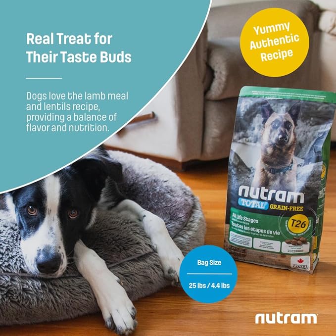 T26 Grain-Free Lamb & Lentils Dry Dog Food | High Protein, Chicken-Free Kibble with Pumpkin, Flaxseed & Salmon Oil | Easily Digestible, Allergy-Friendly for Puppies, Adults & Seniors