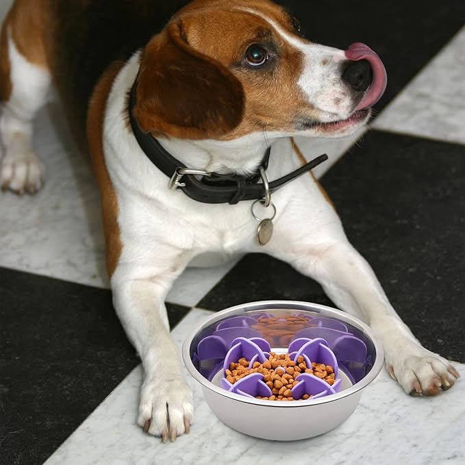 Jaoul Slow Feeder Dog Bowls Insert, 5.4 Inch Cuttable Slow Feeder Insert with 17 Octopus Suction Cups for Small Size Dog Food Bowl (Small, Purple)