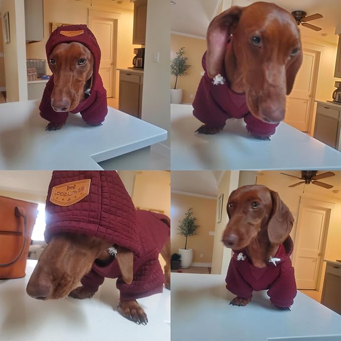 BEAUTYZOO Medium Dog Hoodie Sweater with Pockets, Dog Clothes for Small Medium Dogs Boy Girl, Waffle-Like Laminated Cotton Pet Coats with Hat and Leash Hole, Rose Pink XL