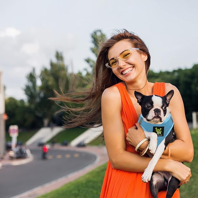 EcoBark Step in Dog Harness - Eco-Friendly Teacup Dog Harnesses for XXS, XS, and Small Dogs - Reflective and Adjustable Mini Body Halter Vest -Tiny Soft Mesh - Toy Breeds Under 5 lbs (Baby Blue, XXS)