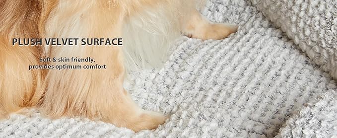 Orthopedic Dog Bed for Large Dogs, Egg Crate Foam Bed for Large Dogs, Equipped with Removable Waterproof Pillow Cover and Anti-Slip Bottom, Pet Bed